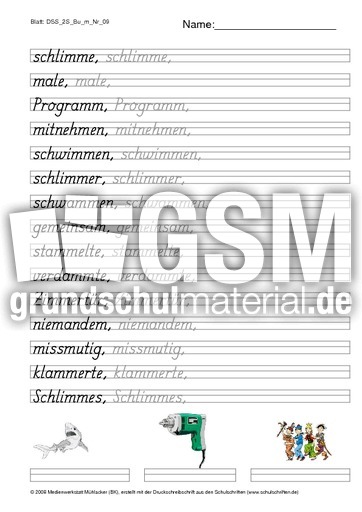 DSS_2S_Bu_m_Nr_09.pdf